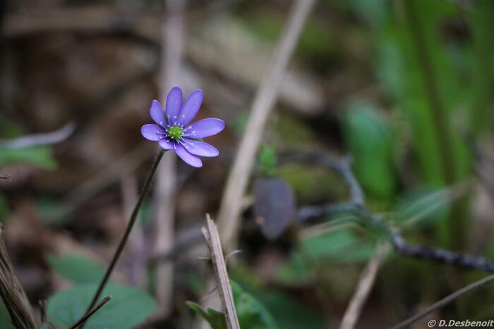 Col de Seille - Photo 3