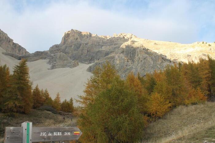 Ecogite - La Dormance - Photo 17