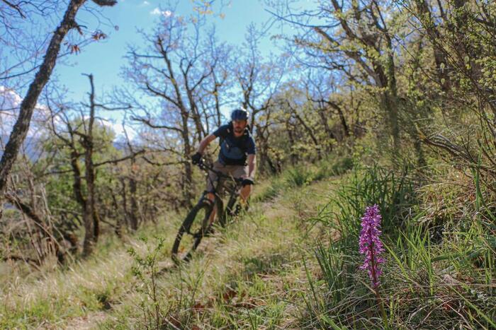 VTT Longeagne Marjaries - Photo 2