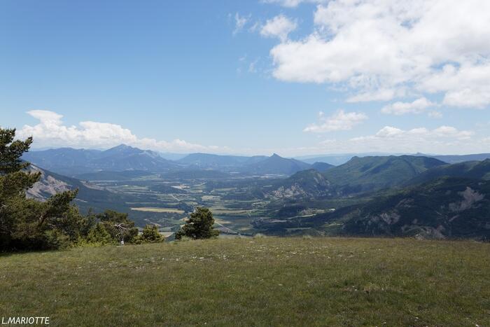 La Montagne d'Aureille - Photo 4