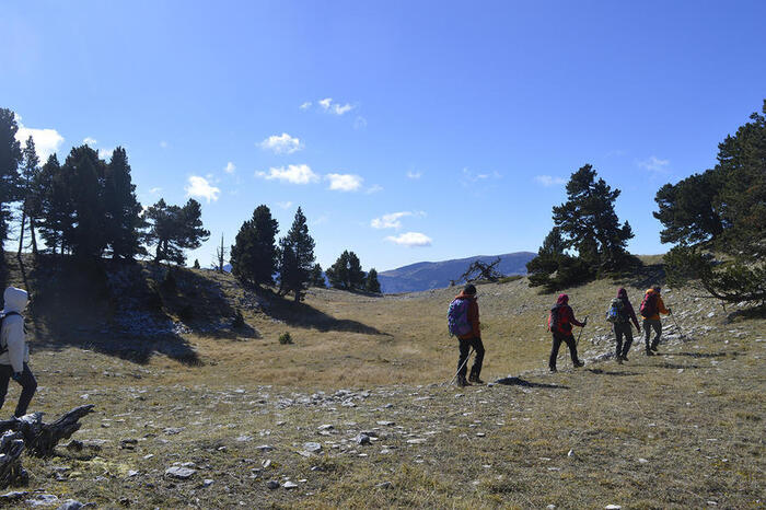 Atelier marche Afghane - Photo 1