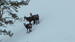 Randonnées en raquettes avec Eric Fossard Bleu Montagne - Photo 1