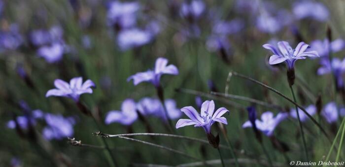 Petite boucle de l'Eygau - Photo 2