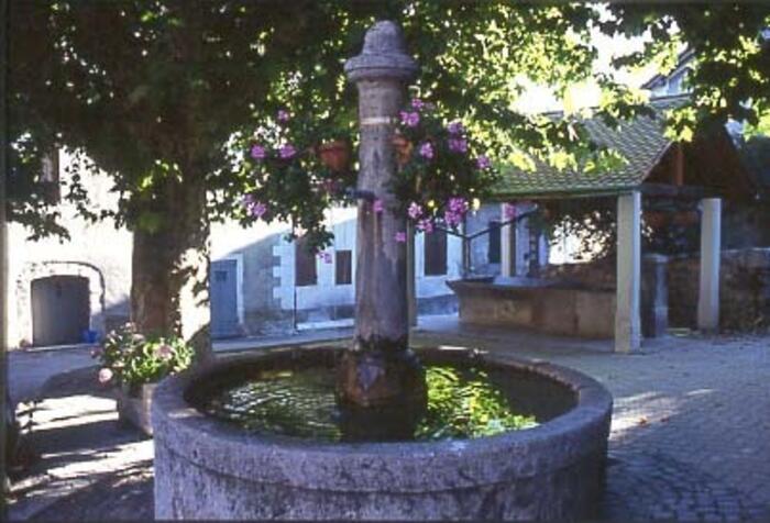- Photo 2
