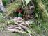 Photo  - Photo 7