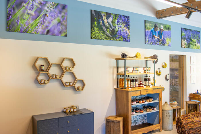 Lavanderaie des Hautes Baronnies - Photo 9