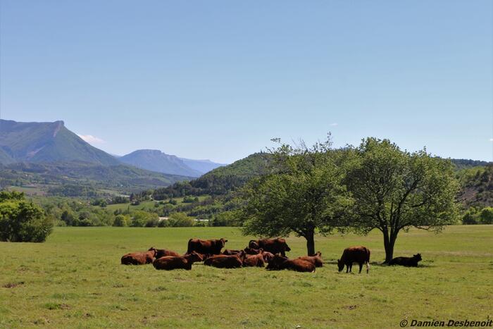 Le col de Cuberselle depuis Veynes - Photo 10