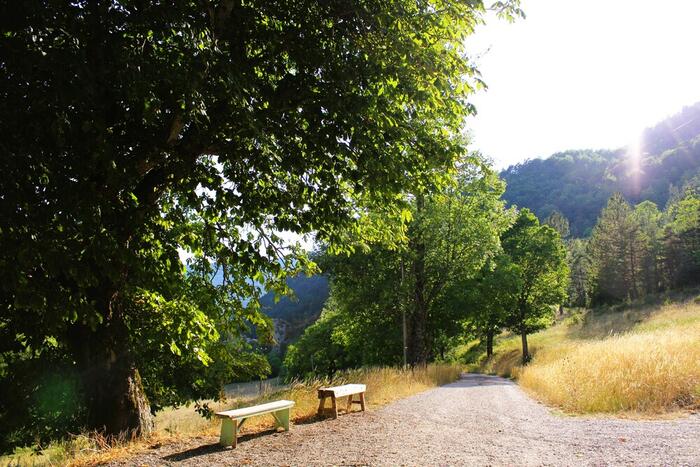 Maison forestière 'Les Etroits' à Saint-Julien-en-Beauchêne - Photo 2