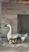 Photo Domaine de la Beaumette_Aspres-sur-Buëch - Photo 10