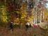 Photo  - Photo 10