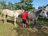 Photo - Photo 16