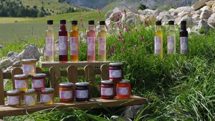 Au fil des saisons - Photo 5