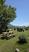 Photo Domaine de la Beaumette_Aspres-sur-Buëch - Photo 16
