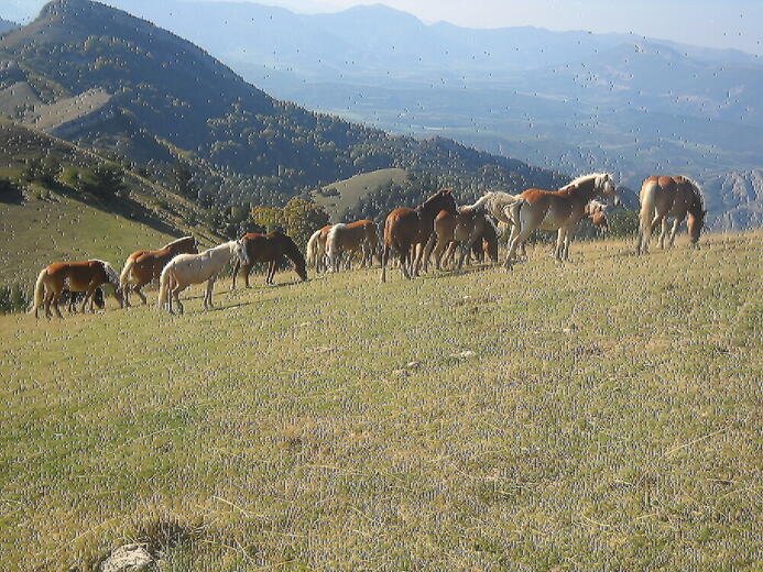 Le ptit gîte du Hameau de Villauret - Photo 0