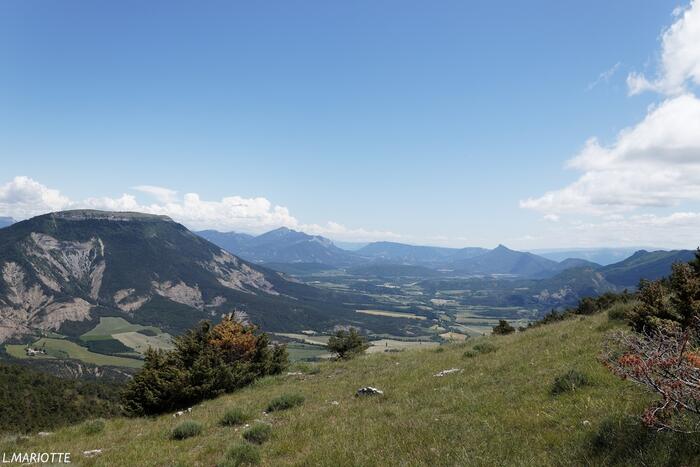 La Montagne d'Aureille - Photo 2