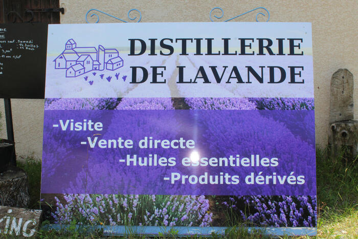 Distillerie de lavande - Photo 3