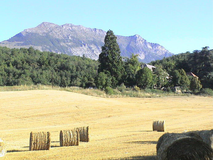 l'été lors des moissons - Photo 20