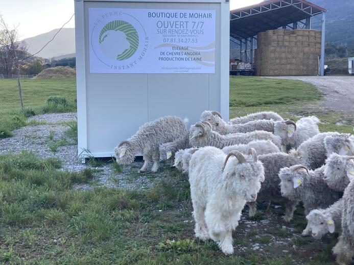 La Ferme Instant Mohair_Aspremont - Photo 10