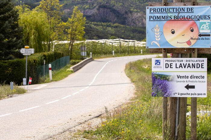 Lavanderaie des Hautes Baronnies - Photo 14