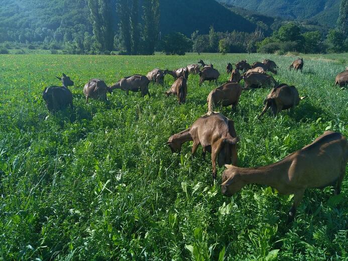 La Ferme de Meyssirat - Photo 1