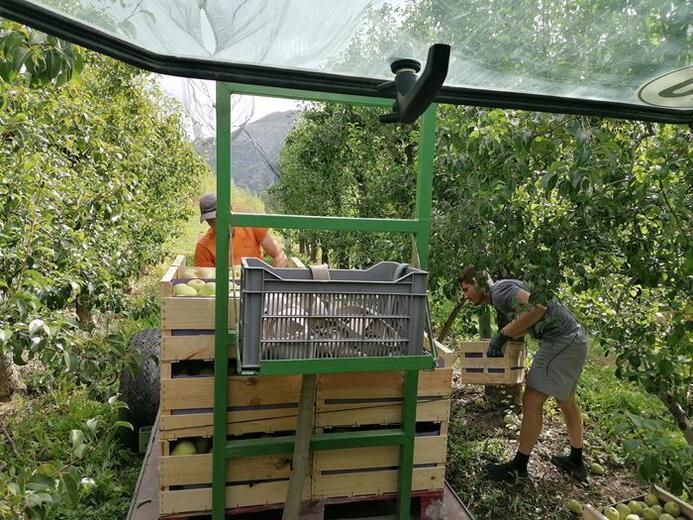 Les vergers - Photo 3