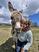 Photo - Photo 15