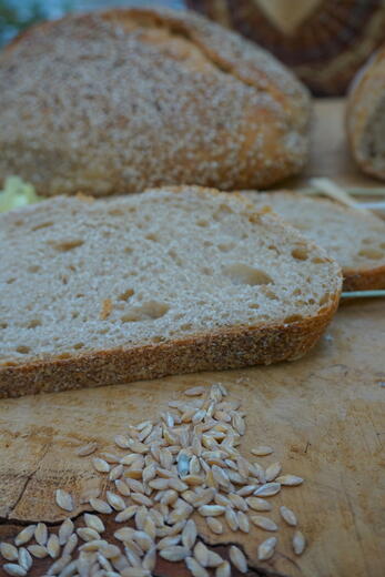 Le pain du Forest - Photo 2