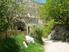 Photo La Pastorale - Sigottier - Photo 1