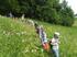 Photo  - Photo 0