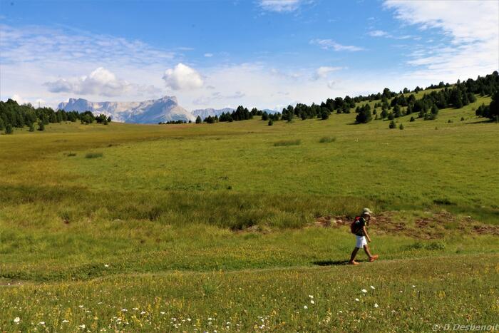 Pic de Céuse par Châtillon - Photo 4