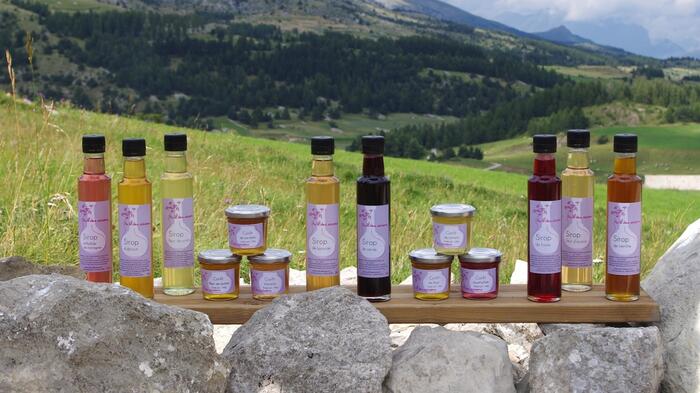 Au fil des saisons - Photo 1