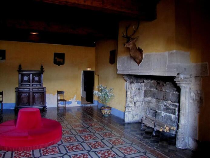 Château de Montmaur - Photo 2