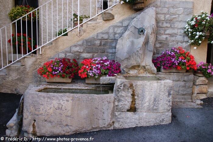 - Photo 2