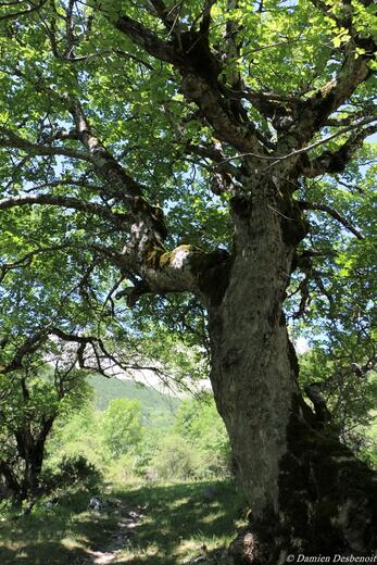 Le sentier des bancs - Photo 5