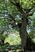 Photo Le sentier des bancs - Photo 5