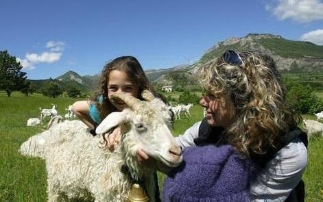 Les visites à la ferme